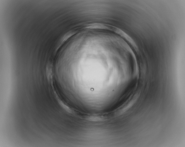 X0000113741049200910071042