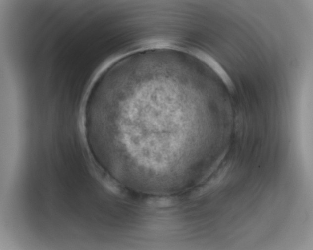 X0000113741051200910071042