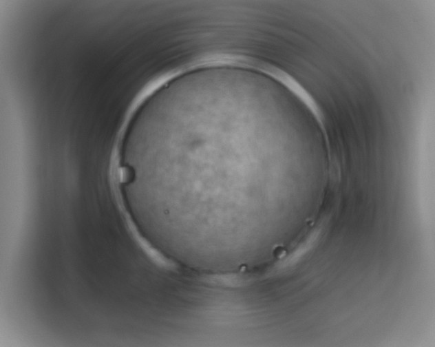 X0000113741053200910071042