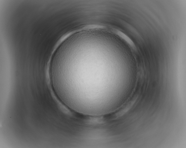 X0000113741055200910071042