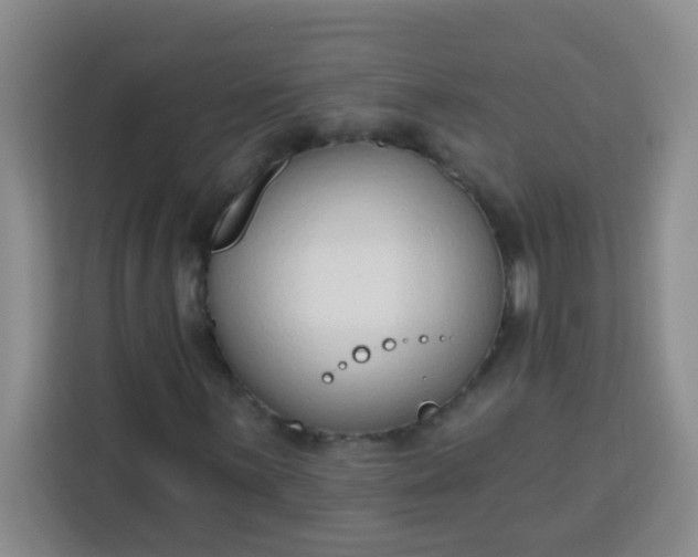 X0000113741059200910071041