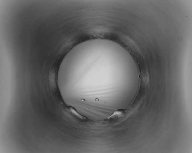 X0000113741060200910071041