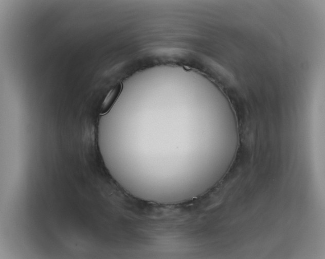 X0000113741061200910071041