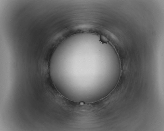 X0000113741062200910071041