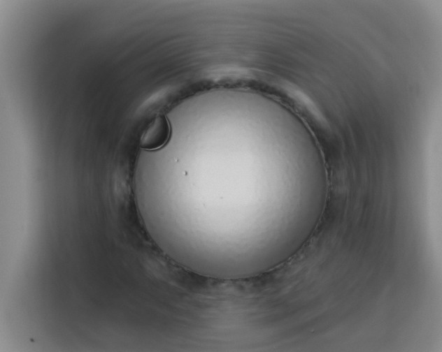 X0000113741063200910071041