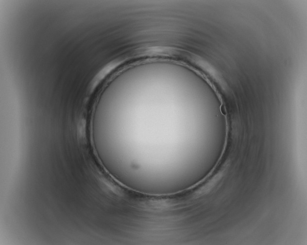 X0000113741066200910071041