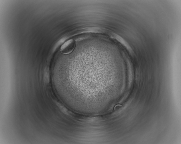 X0000113741067200910071041