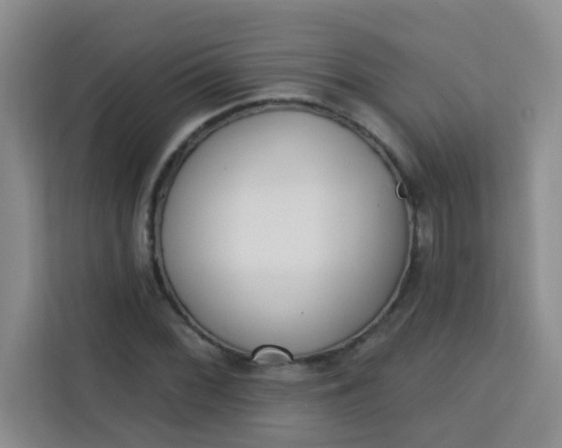 X0000113741068200910071041