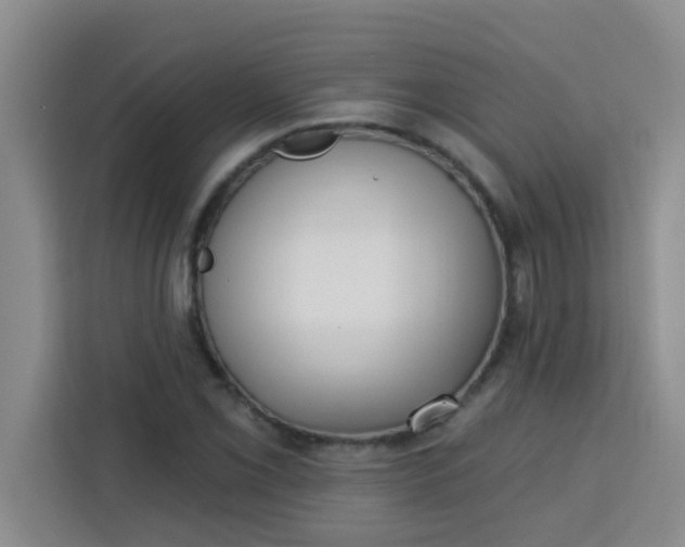 X0000113741069200910071041