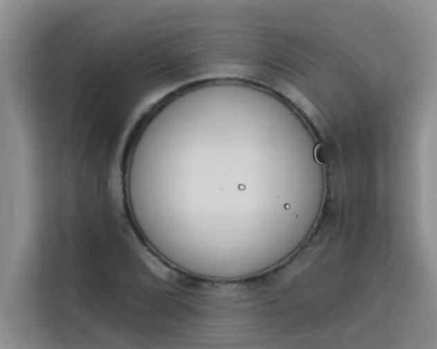 X0000113741072200910071041