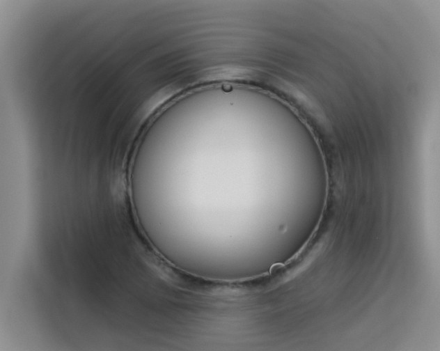 X0000113741073200910071041