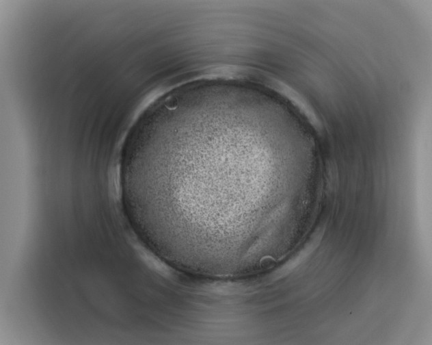 X0000113741075200910071041