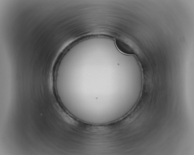 X0000113741076200910071041