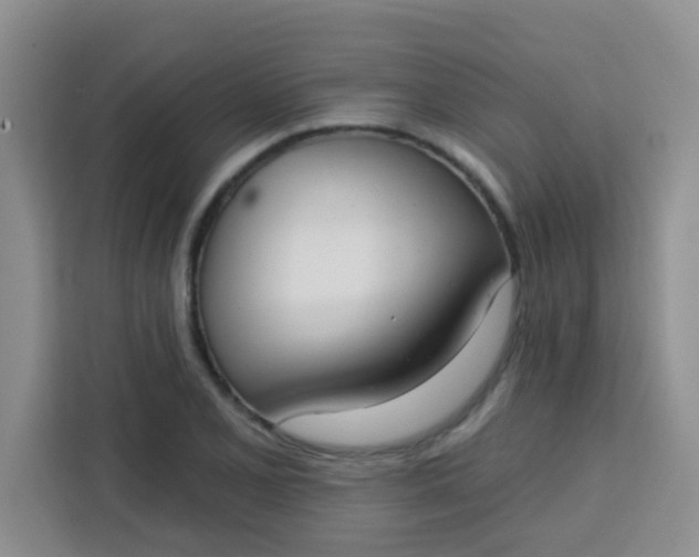 X0000113741077200910071041