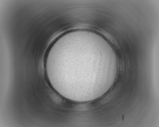 X0000113741078200910071041