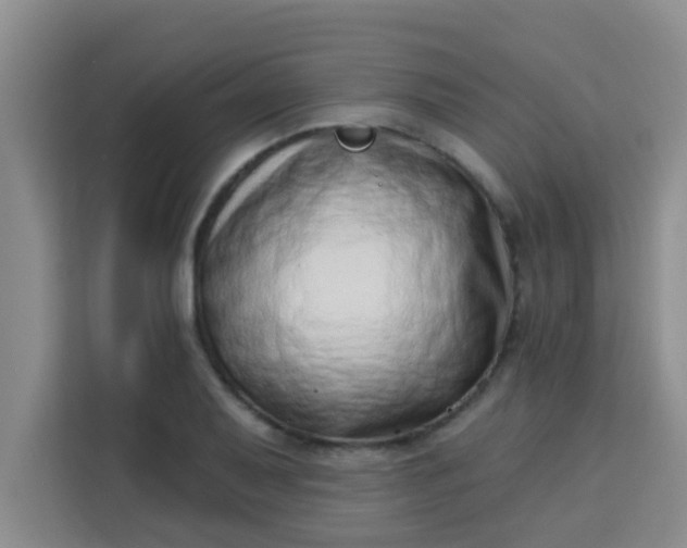 X0000113741079200910071041