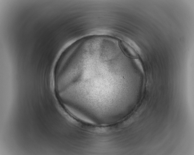 X0000113741080200910071041