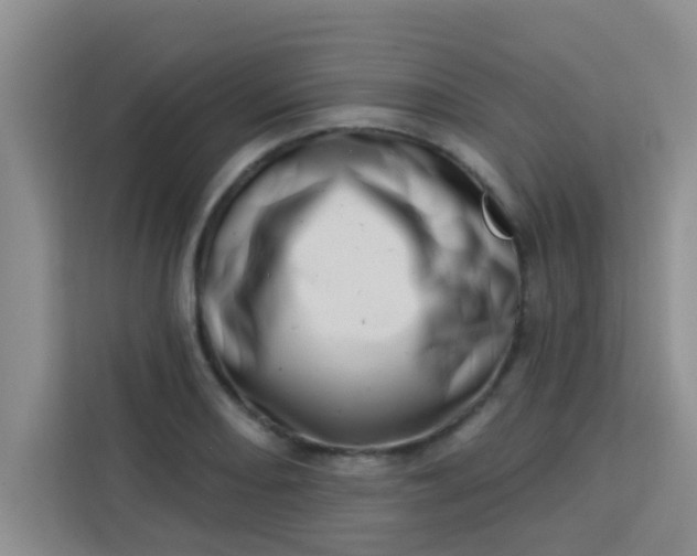 X0000113741082200910071041