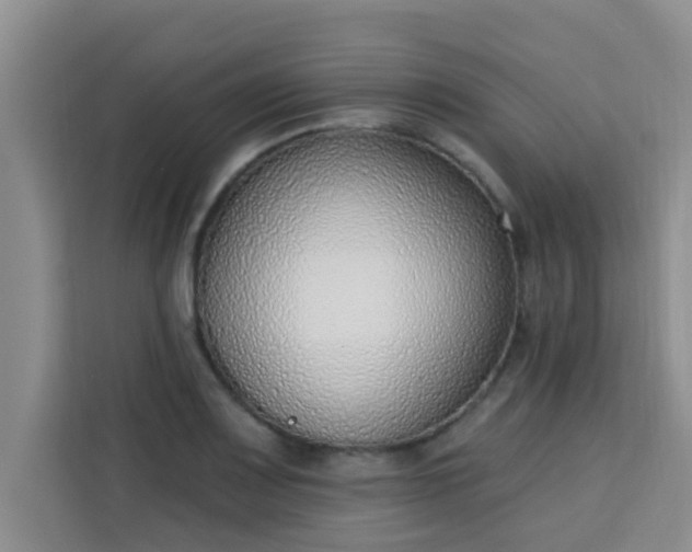 X0000113741083200910071041