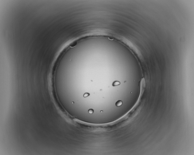 X0000113741085200910071041