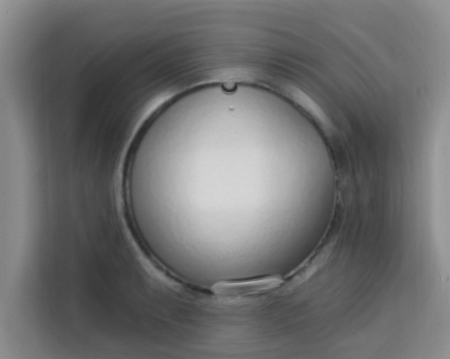 X0000113741087200910071041