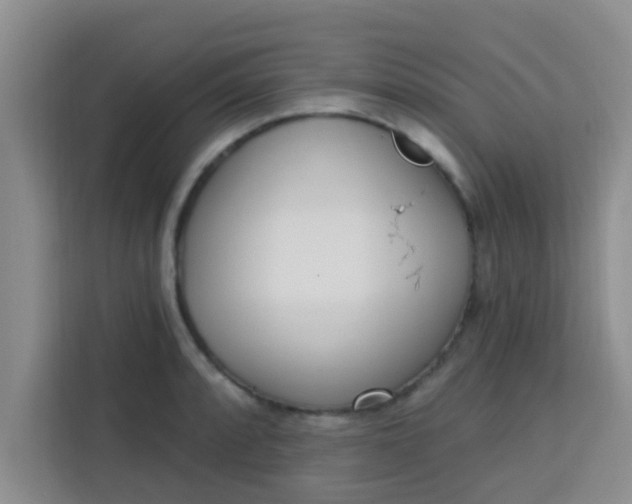 X0000113741088200910071041