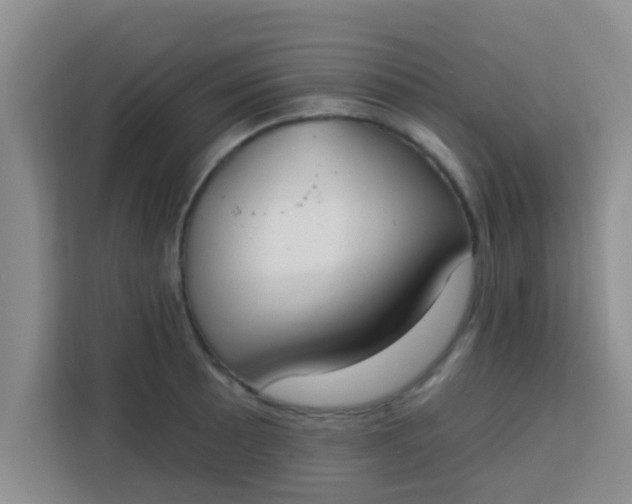 X0000113741089200910071041