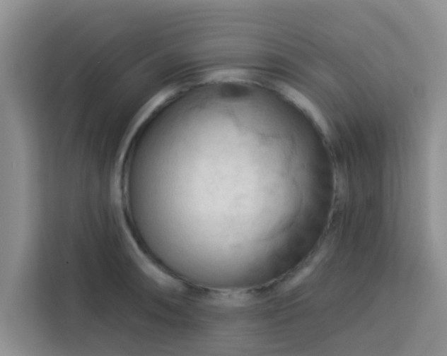 X0000113741090200910071041