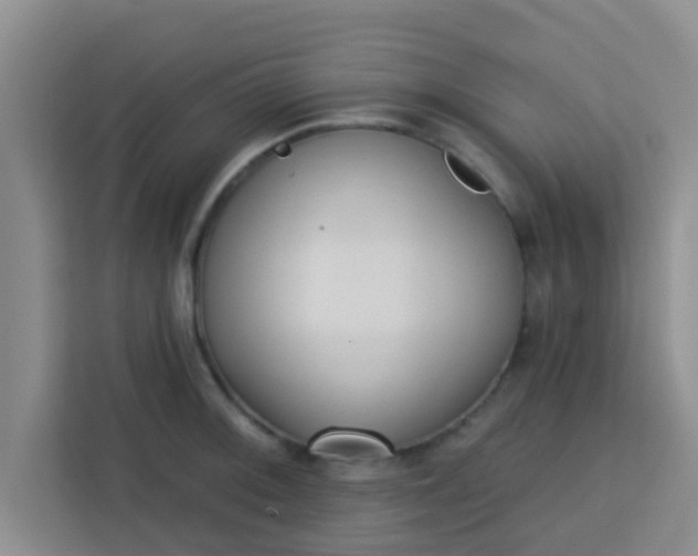 X0000113741092200910071041