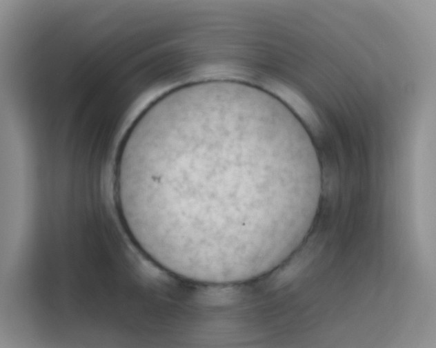 X0000113741094200910071041