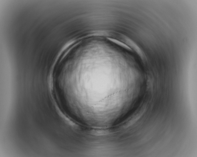 X0000113741095200910071041