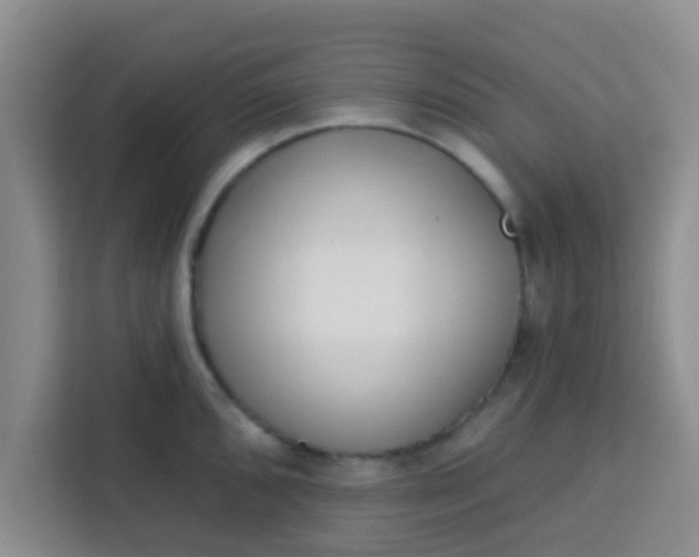 X0000113741096200910071041