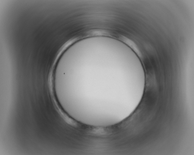 X0000113741098200910071041