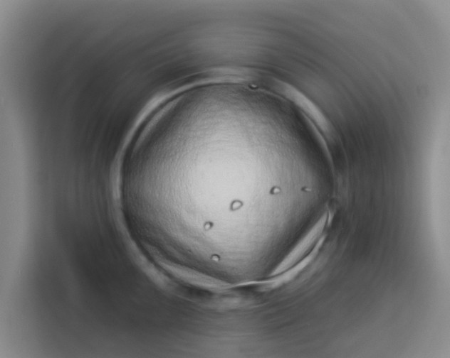 X0000113741099200910071041