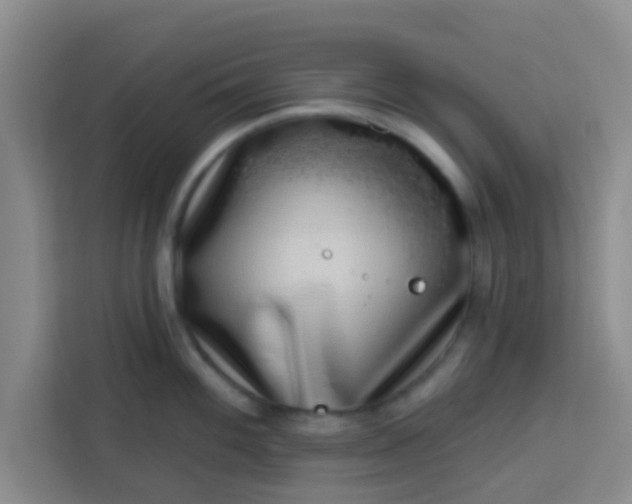 X0000113741100200910071041