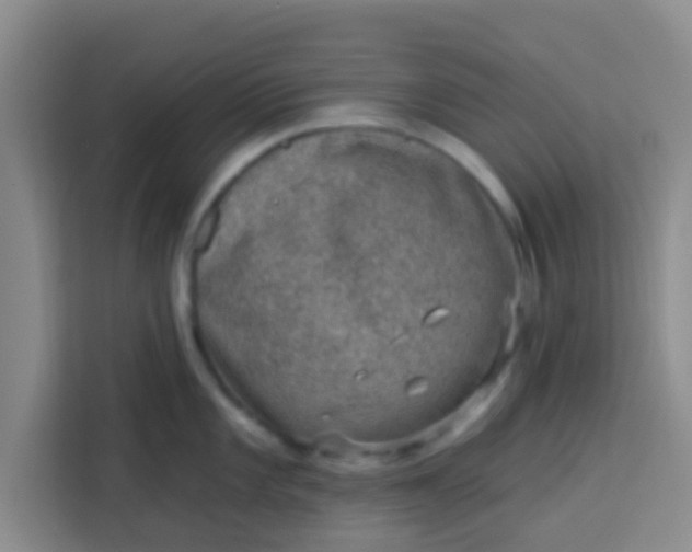 X0000113741101200910071041