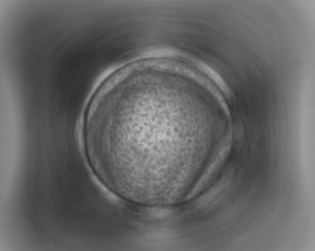 X0000113741103200910071041