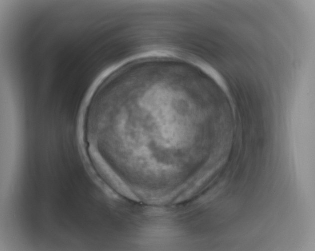 X0000113741104200910071041