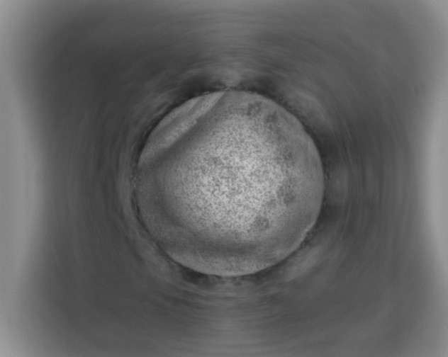 X0000113741105200910071040