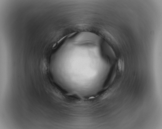 X0000113741107200910071040