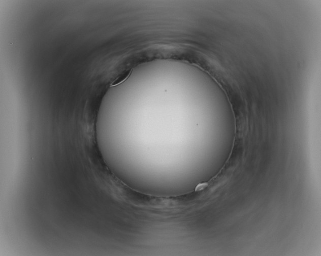 X0000113741109200910071040