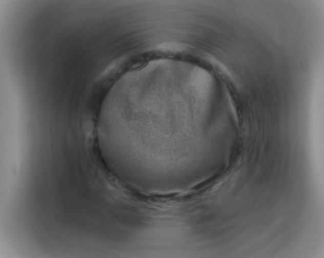 X0000113741110200910071040