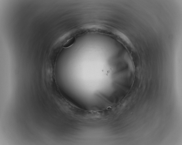 X0000113741111200910071040