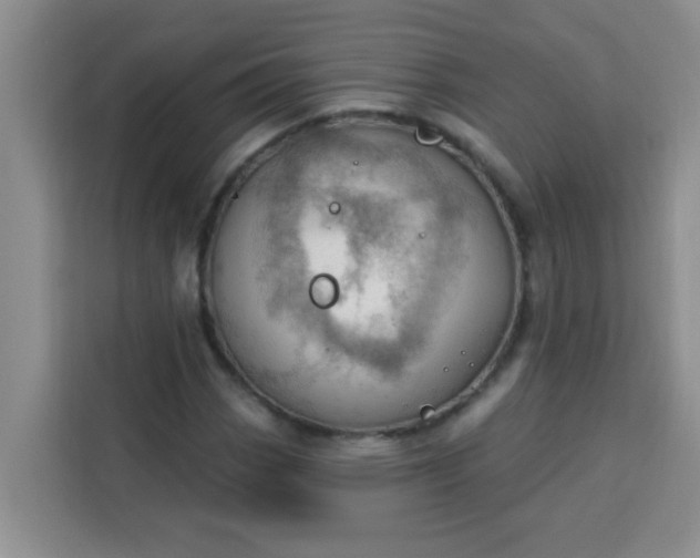 X0000113741113200910071040