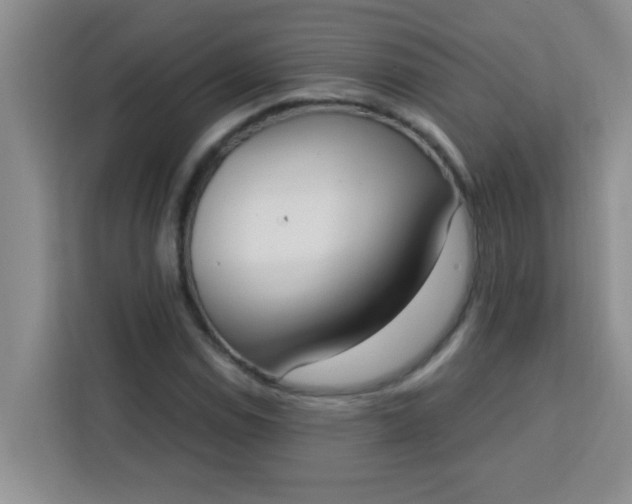 X0000113741114200910071040