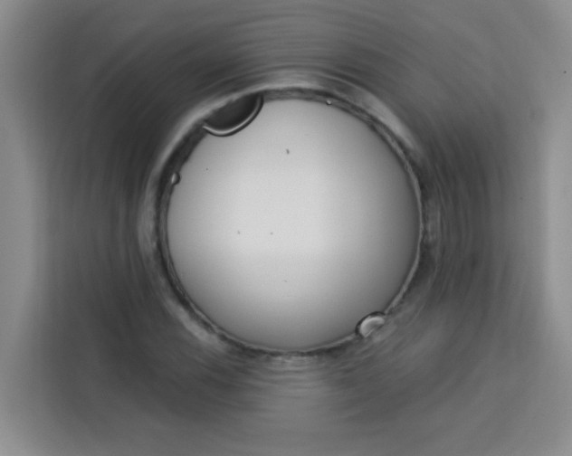 X0000113741116200910071040