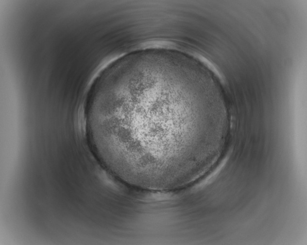 X0000113741117200910071040