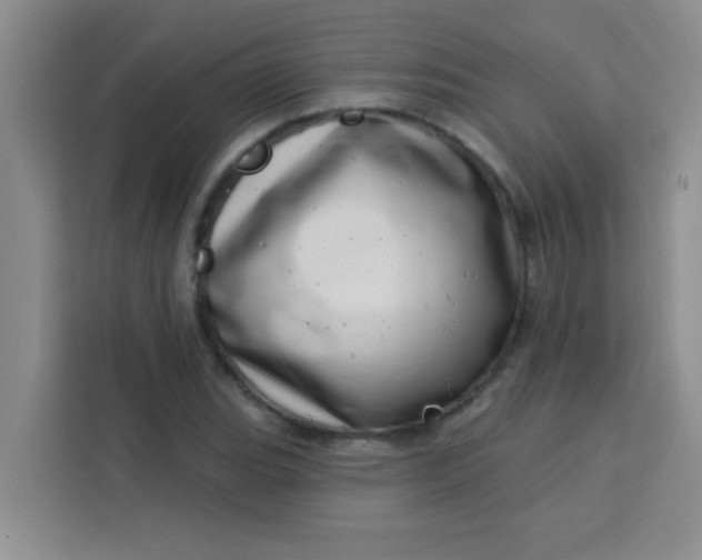 X0000113741119200910071040