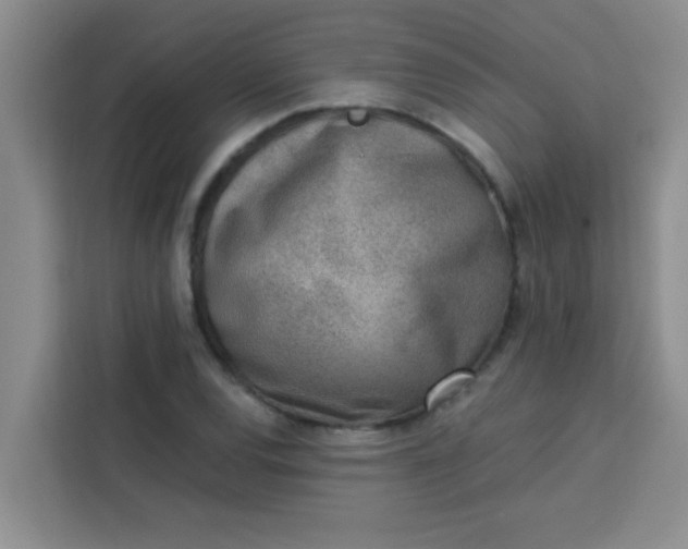 X0000113741120200910071040