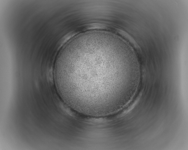 X0000113741121200910071040